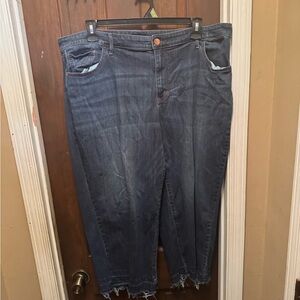 Women's Wide Leg Size 22W Blue Jeans